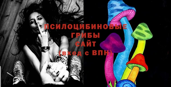 apvp Алзамай